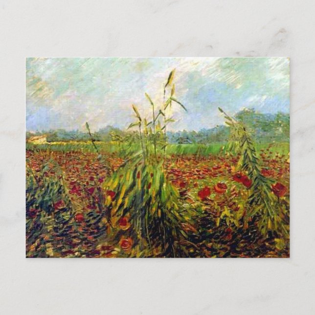 Van Gogh's famous painting, Green Corn Stalks Postcard (Front)