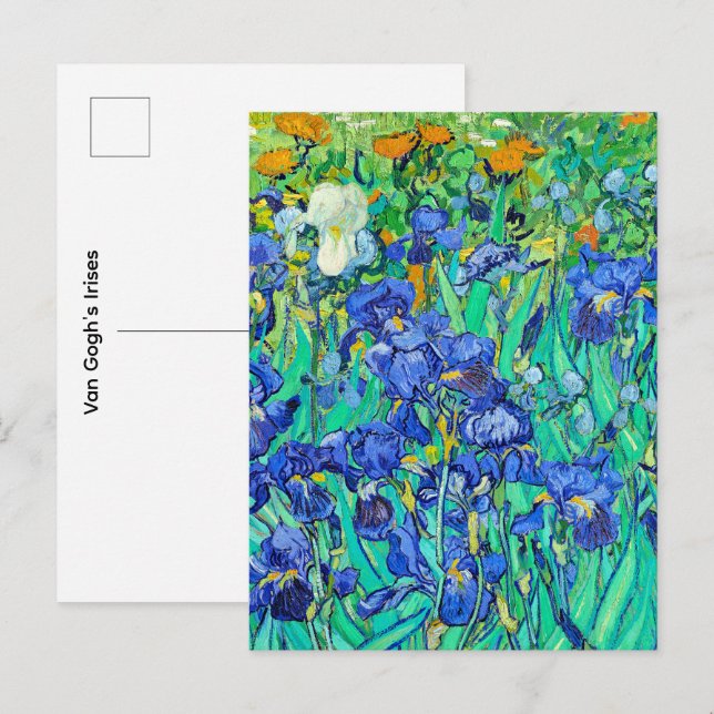 Van Gogh's Irises Postcard (Front/Back)