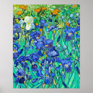 Van Gogh's Irises  Poster