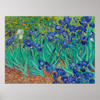 Van Gogh's Irises Poster