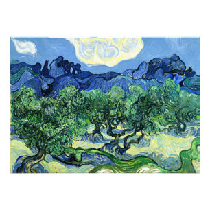 Van Gogh's painting, Olive Trees with Alpilles Photo Print