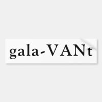 Van name travel camper word play galavant wander