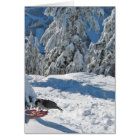 Vancouver, AVANT JÉSUS CHRIST, carte du Canada