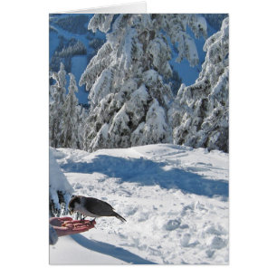 Vancouver, AVANT JÉSUS CHRIST, carte du Canada