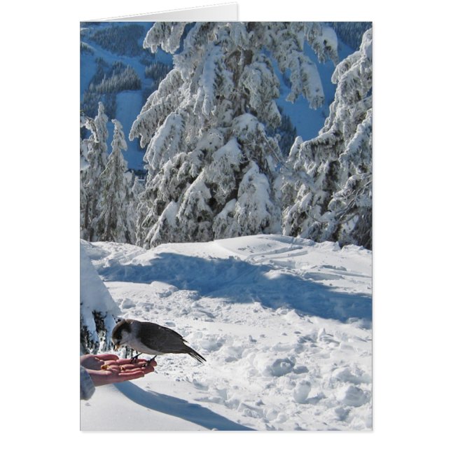 Vancouver, BC, Canada Card (Front)