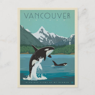 Vancouver Island   Killer Whales Postcard