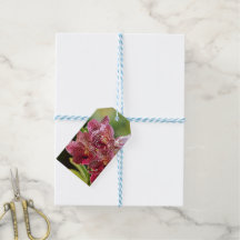 Vanda Orchid Cluster Birthday Gift Tag