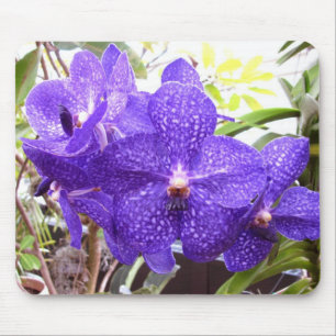 Vanda Pachara Orchid Mouse Pad