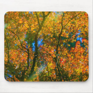 VanDusen Botanical Garden Vancouver, Canada Mouse Pad