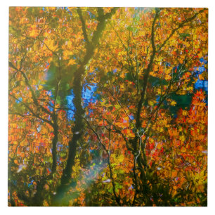 VanDusen Botanical Garden Vancouver, Canada Tile