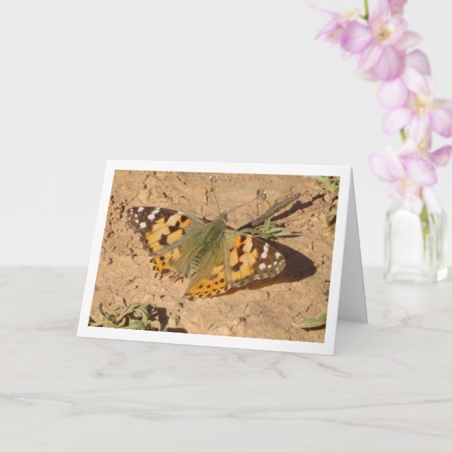 Vanessa cardui - Painted Lady Butterfly Card (Orchid)