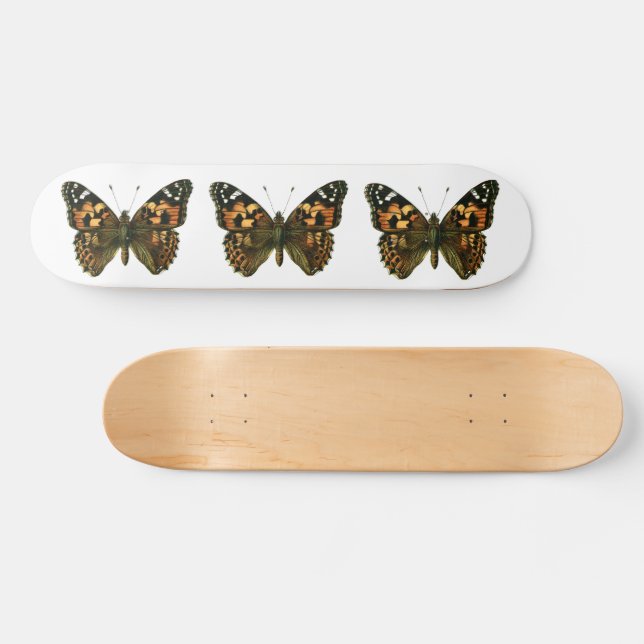 Vanessa cardui - The Painted Lady Butterfly Skateboard (Horz)