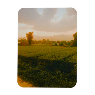 Vang Vieng - Laos  Magnet