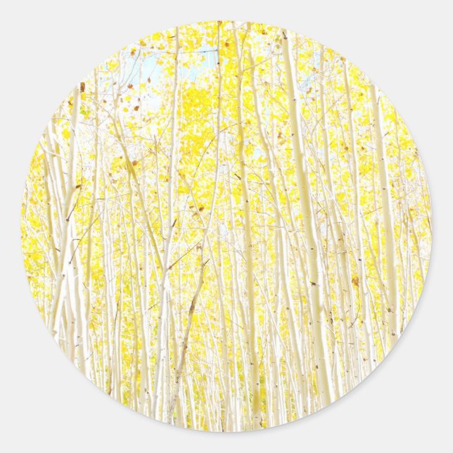 Vanilla Cake Aspen trees Classic Round Sticker (Front)