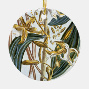 Vanilla pods, plate 65, from 'Collection Precieuse Ceramic Ornament