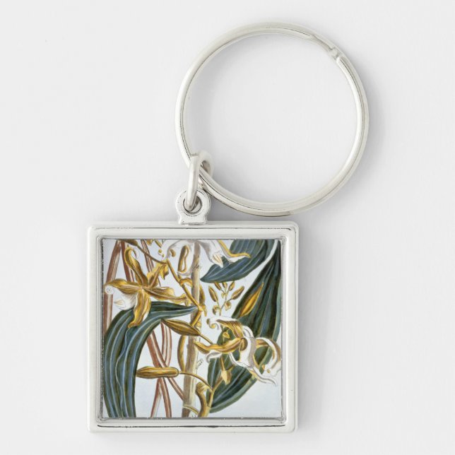 Vanilla pods, plate 65, from 'Collection Precieuse Keychain (Front)