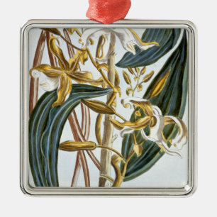 Vanilla pods, plate 65, from 'Collection Precieuse Metal Ornament