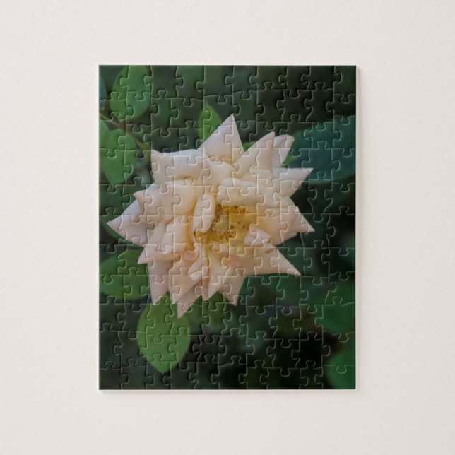 Vanilla Rose Jigsaw Puzzle (Vertical)