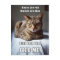 Vanlentine Cat Feed Me poem