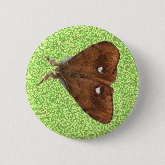 Vapourer Moth Button (Front)