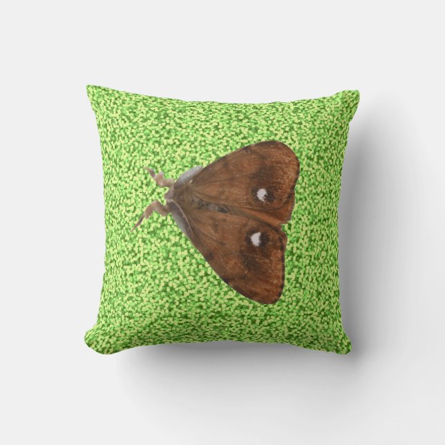 Vapourer Moth Coussin (Recto)