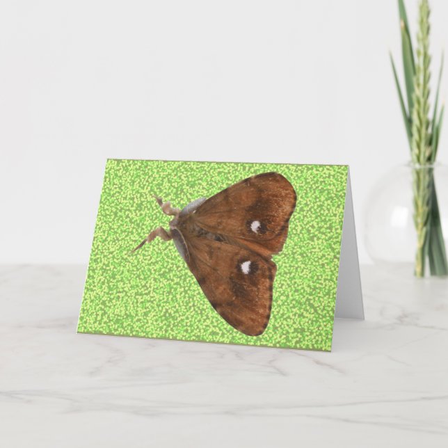 Vapourer Moth Greeting Card (Front)