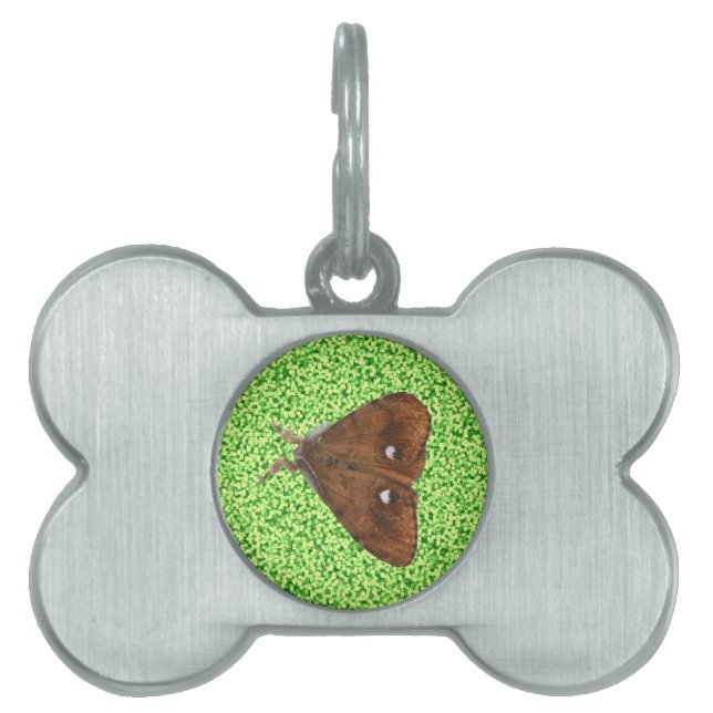 Vapourer Moth Pet Tag (Front)