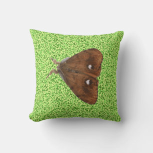 Vapourer Moth Pillow