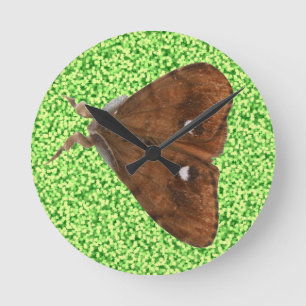 Vapourer Moth Wall Clock