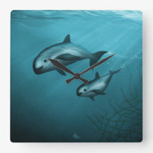Vaquita Porpoises
