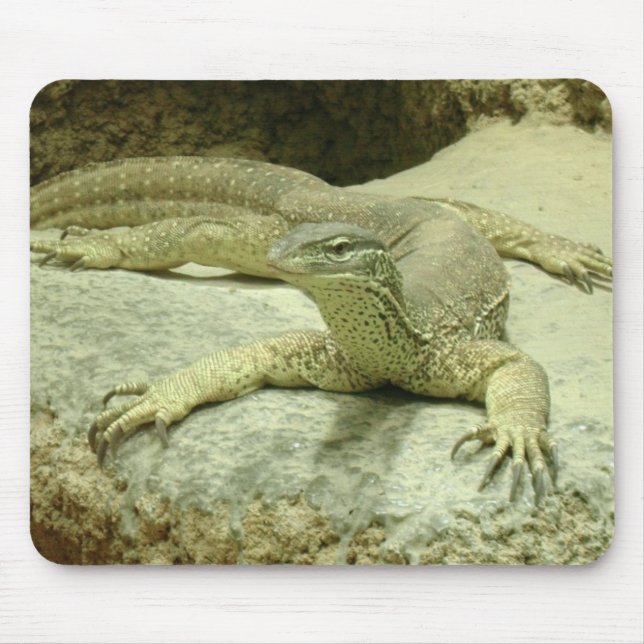 Varanus gouldii mouse pad (Front)