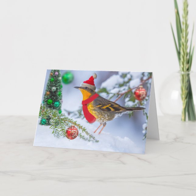 Varied Thrush Christmas Holiday Card (Front)