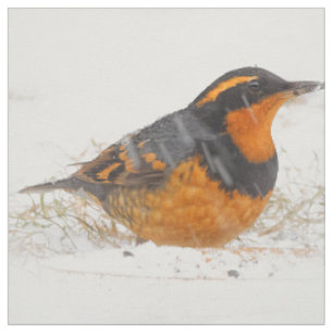 Varied Thrush Songbird on Snowy Winter Day Fabric