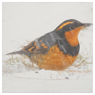 Varied Thrush Songbird on Snowy Winter Day Fabric