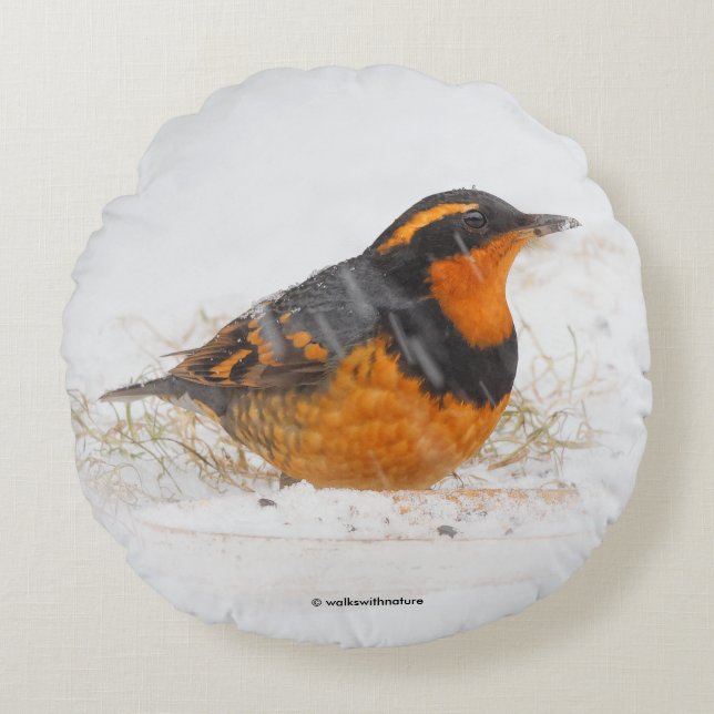 Varied Thrush Songbird on Snowy Winter Day Round Pillow (Front)