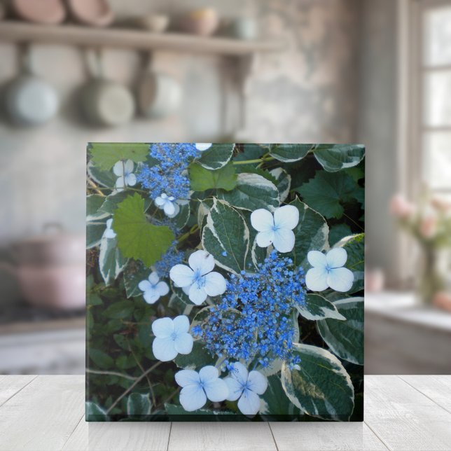 Variegated Blue Hydrangea Tile (Creator Uploaded)