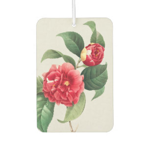 Variegated Camellia, Pierre-Joseph Redouté, 1833 Air Freshener