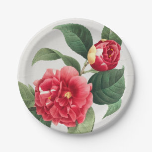 Variegated Camellia, Pierre-Joseph Redouté, 1833 Paper Plate