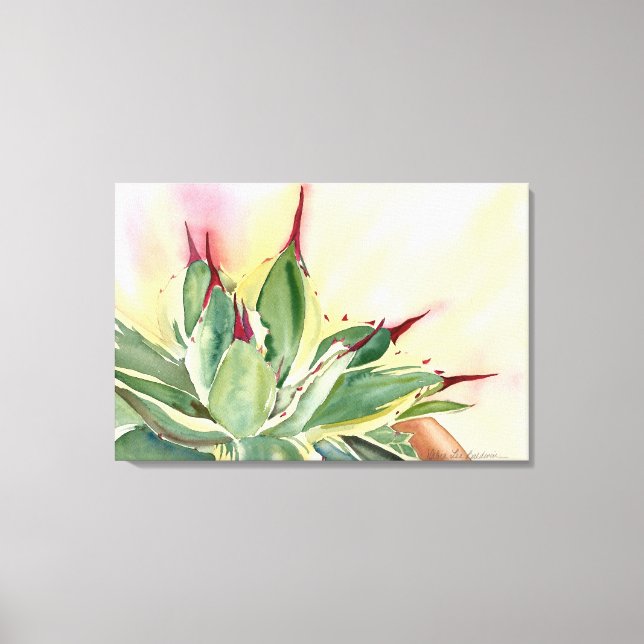 Variegated dwarf agave canvas print (Front)