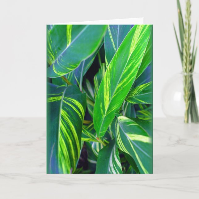 "Variegated Ginger" Card (Front)