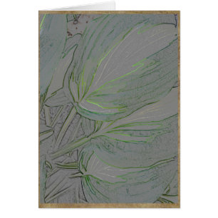 Variegated hosta leaves