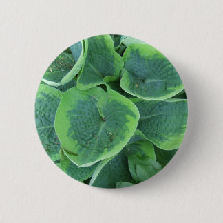 Variegated Hosta Light Green Dark Green Leaves 2 Inch Round Button