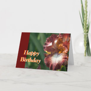 Variegated Iris Birthday Card