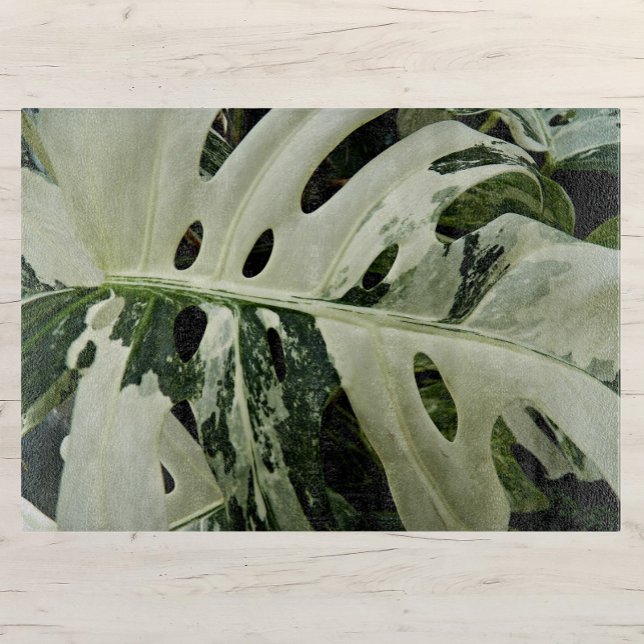 Variegated Monstera Plant Botanical Medium Cutting Board (In Situ)