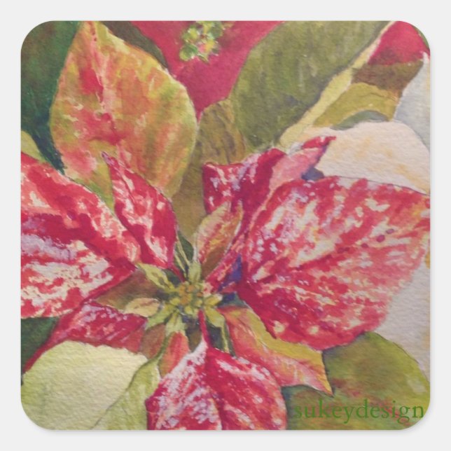 Variegated Poinsettia Sticker (Front)