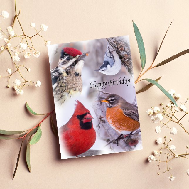 Variété D'Oiseaux Bonne Carte D'Anniversaire (Créateur téléchargé)