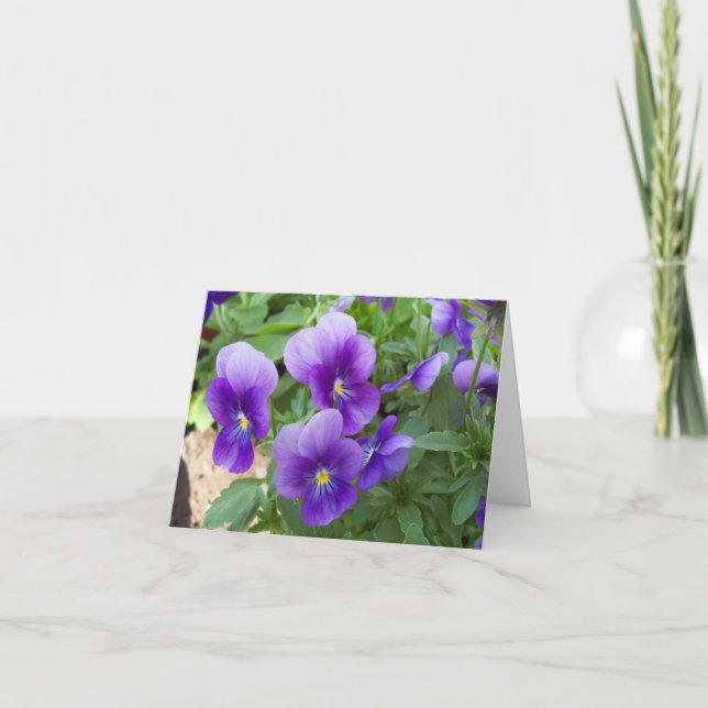 Variété intérieure de cartes de note de blanc de (Devant)