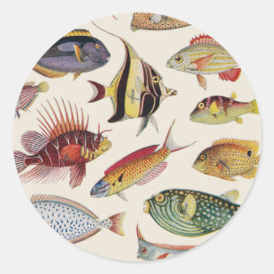 Varieties of Fish Classic Round Sticker