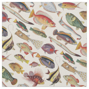 Varieties of Fish Fabric