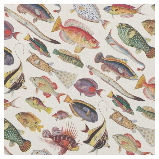 Varieties of Fish Fabric